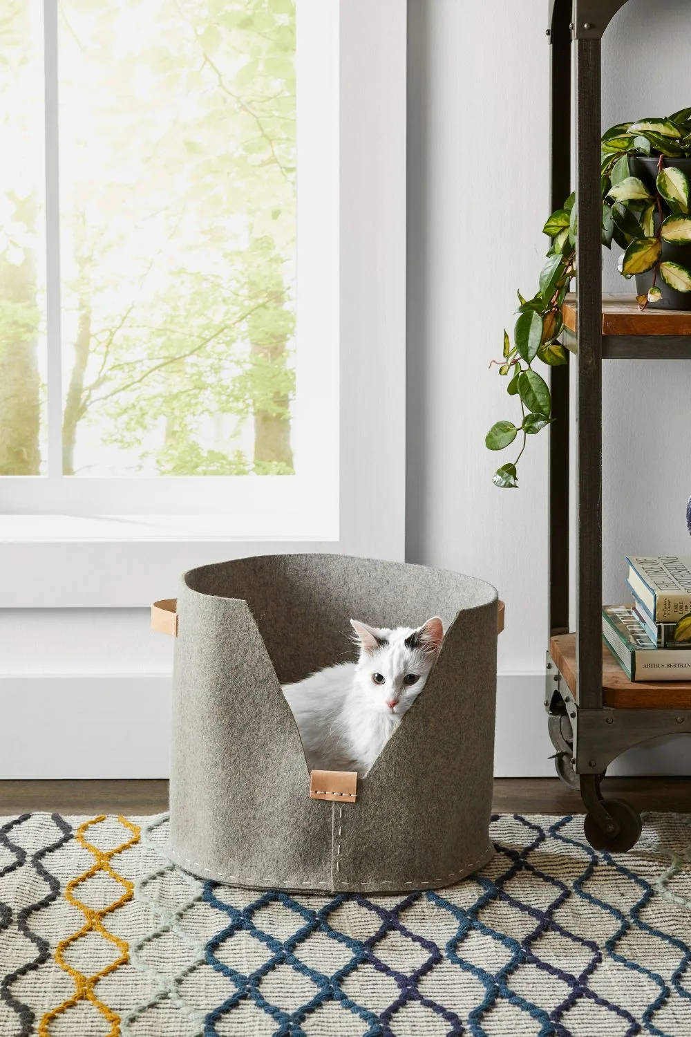 diy-cat-bed-DOTDASHMEREDITH