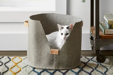 Make this DIY pet bed to keep your cat cosy and comfortable