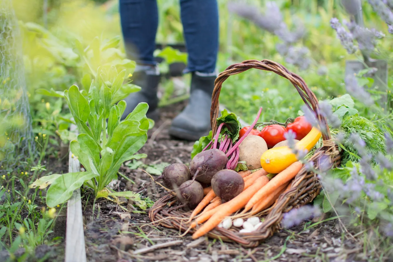 5 vegetables that don’t grow well together