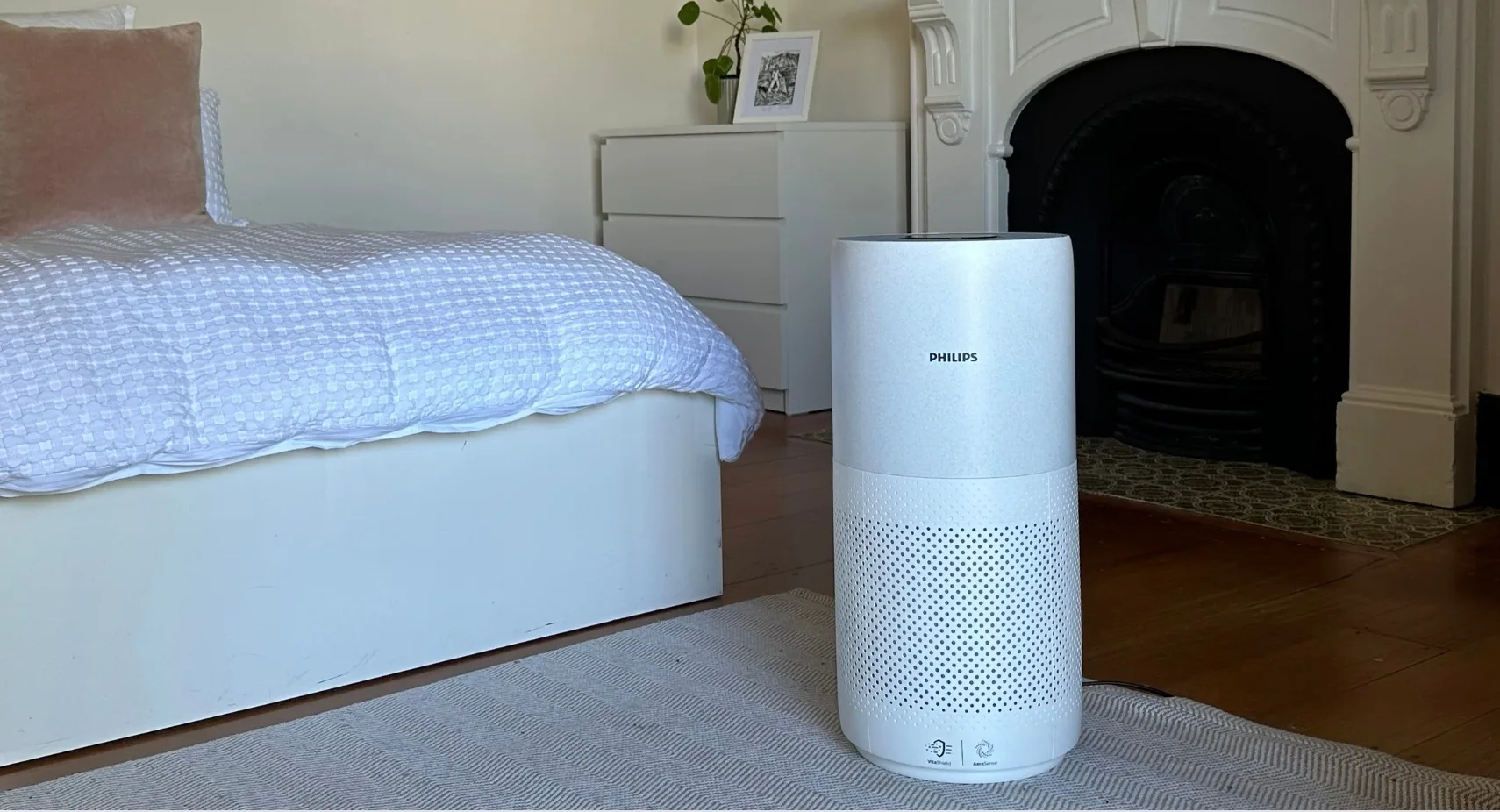 ‘I found mould in my room and ordered these two products immediately’