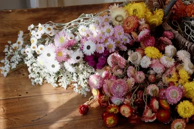 Learn the art of drying flowers for preservation with Melissa