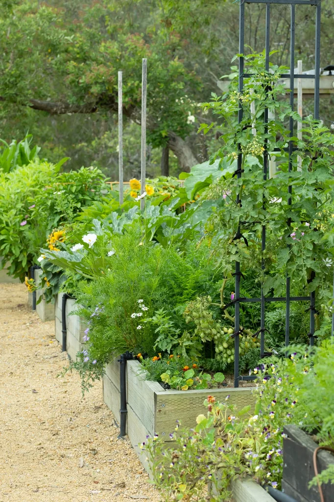 vertical-gardening-arches-arbours-and-stakes