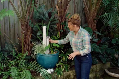 Create a sanctuary for amphibians with a frog hotel