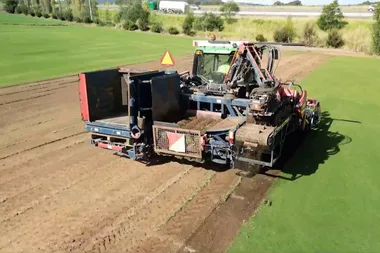 Charlie finds out where turf comes from