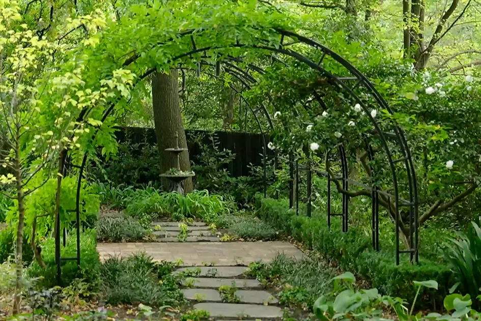 Graham visits the historical Deepdene Forest Garden