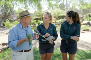 Dr Harry gets a tour of the Wagga Wagga Zoo