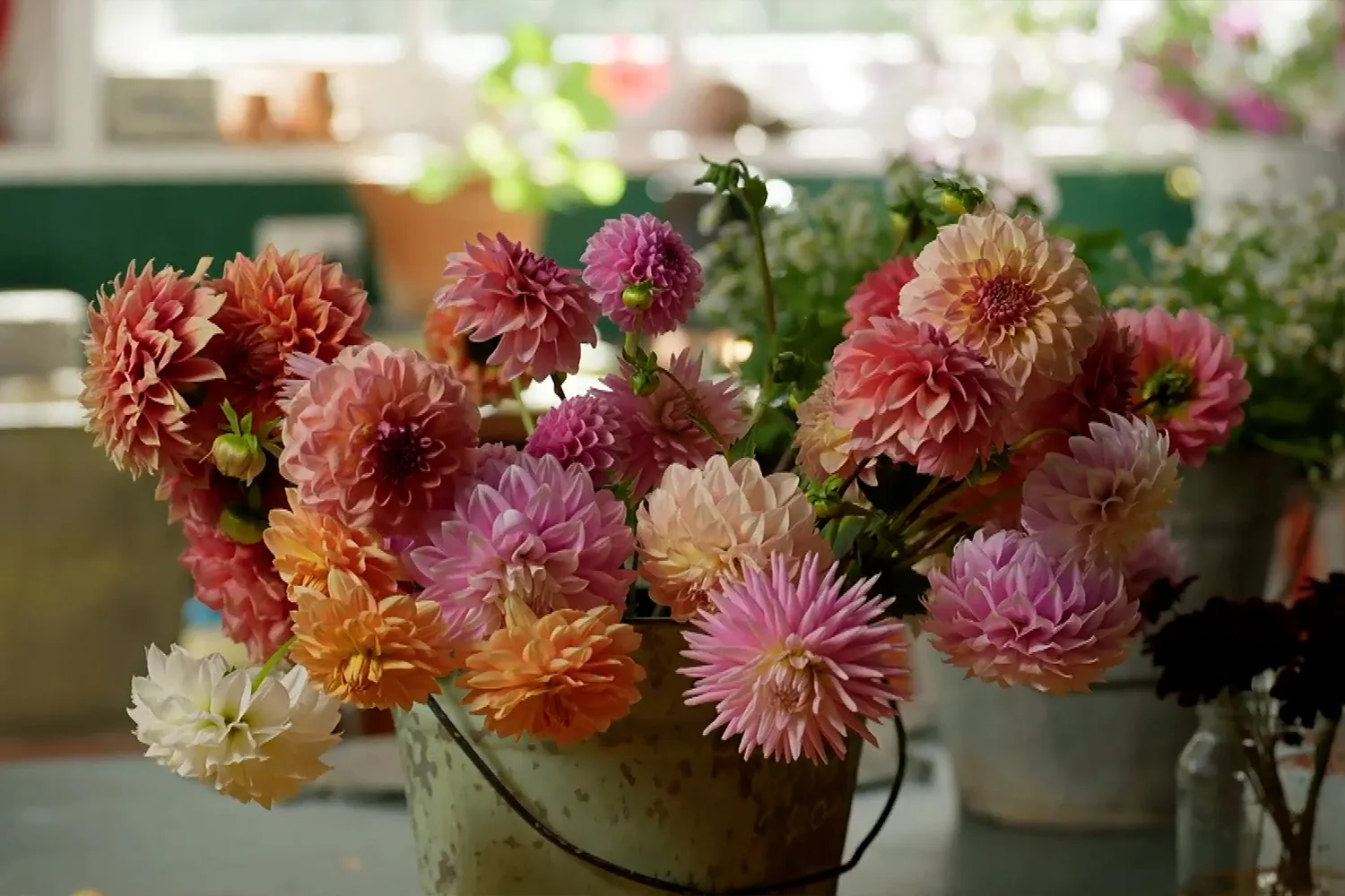 Melissa explores the art of Floriography