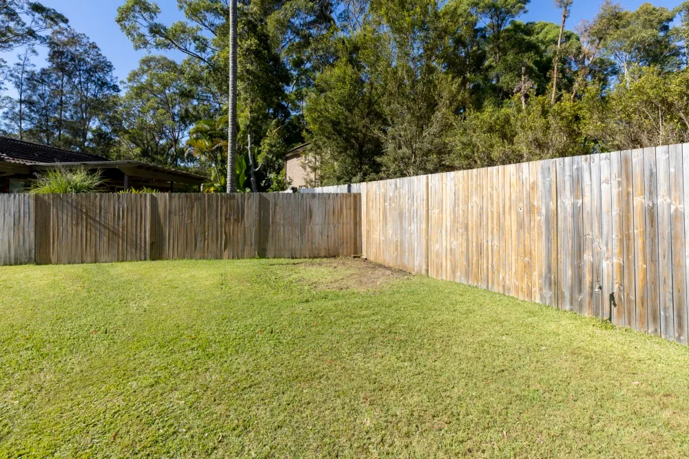 before photo of cheap backyard lawn area and rundown fence
