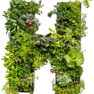 How to create succulent letter art