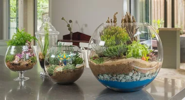How to make a beachy terrarium