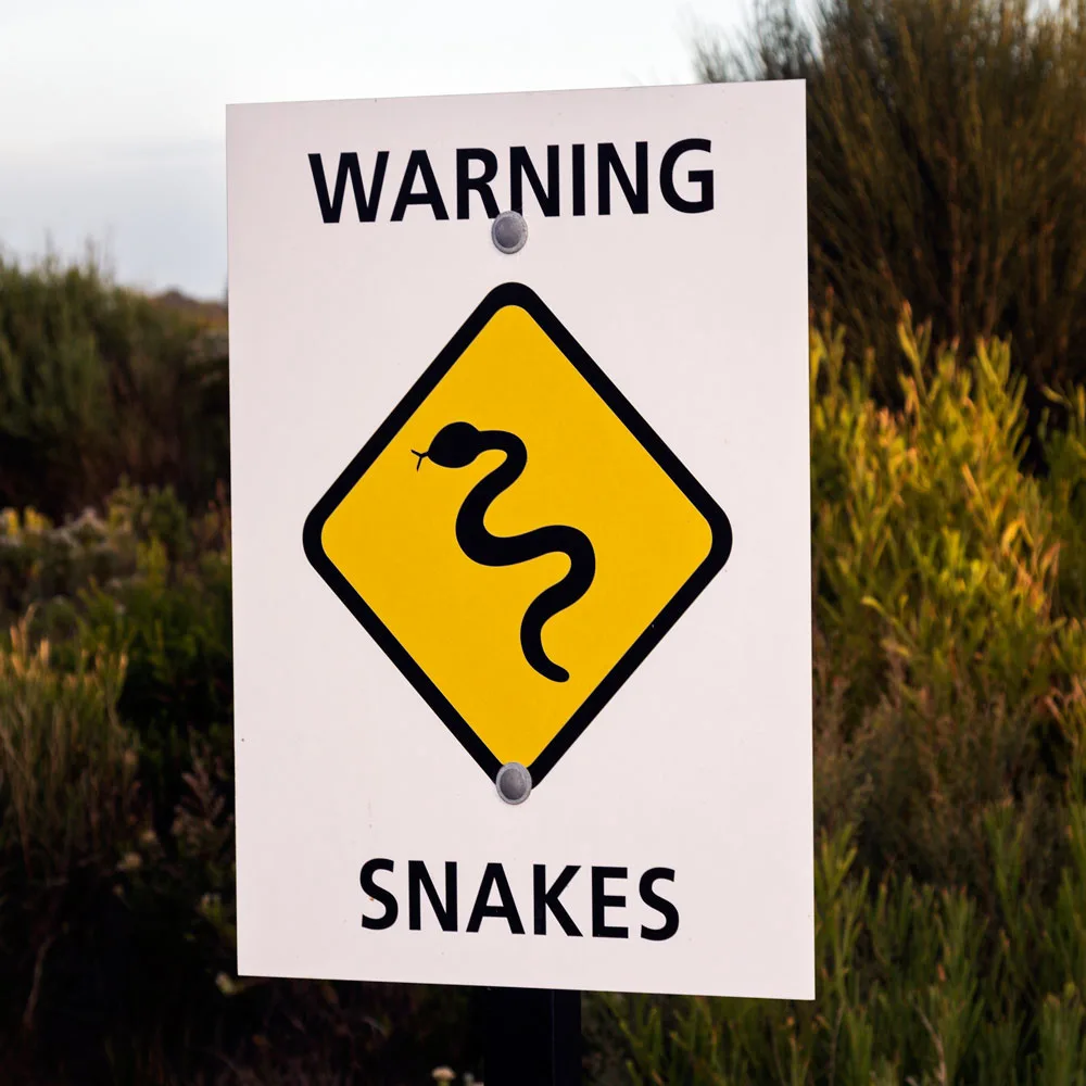 warning sign snakes