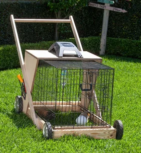Keep your lawns short with the nifty guinea pig lawn mower