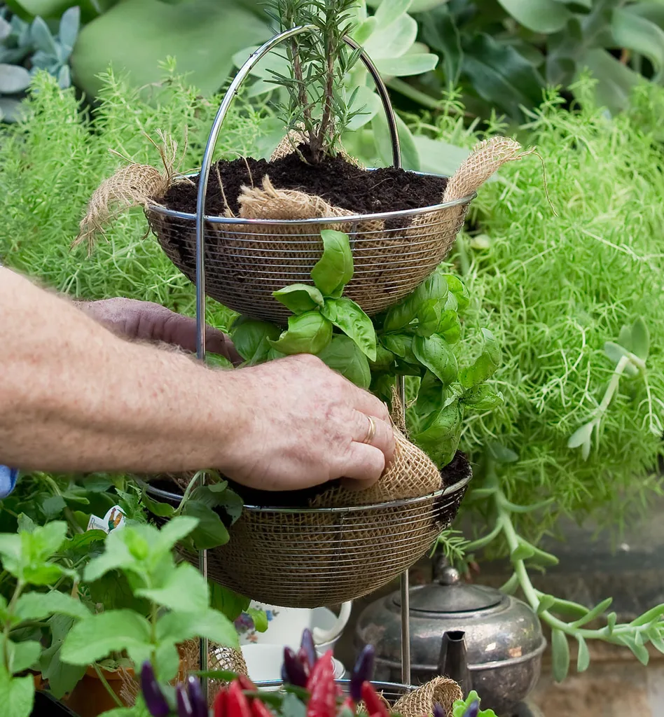 hessian pot garden