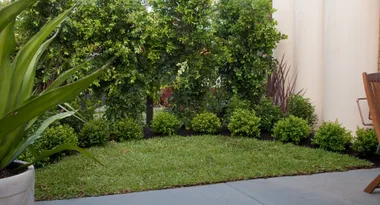 Sculpt a circular lawn