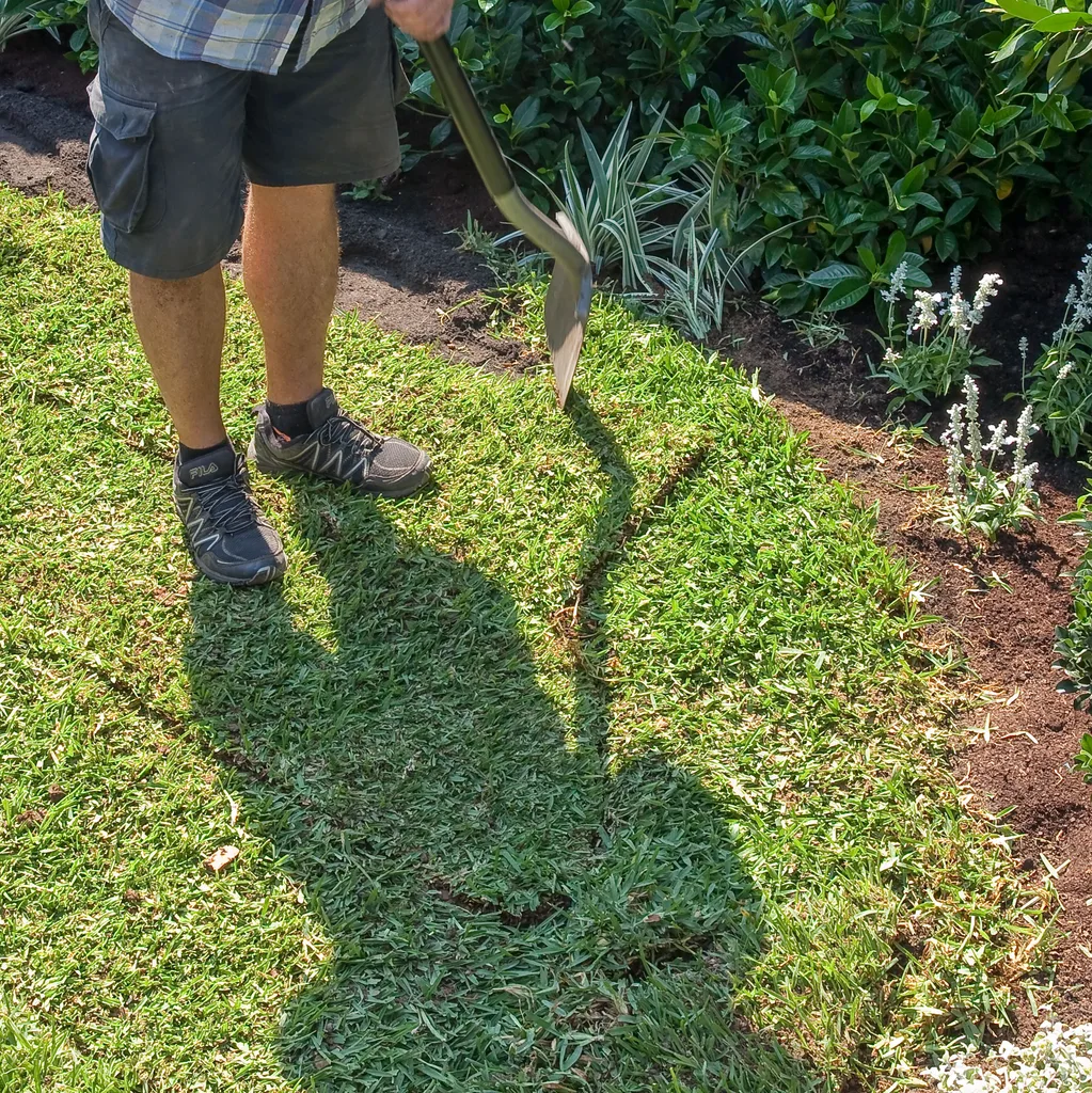 circular round lawn step 4