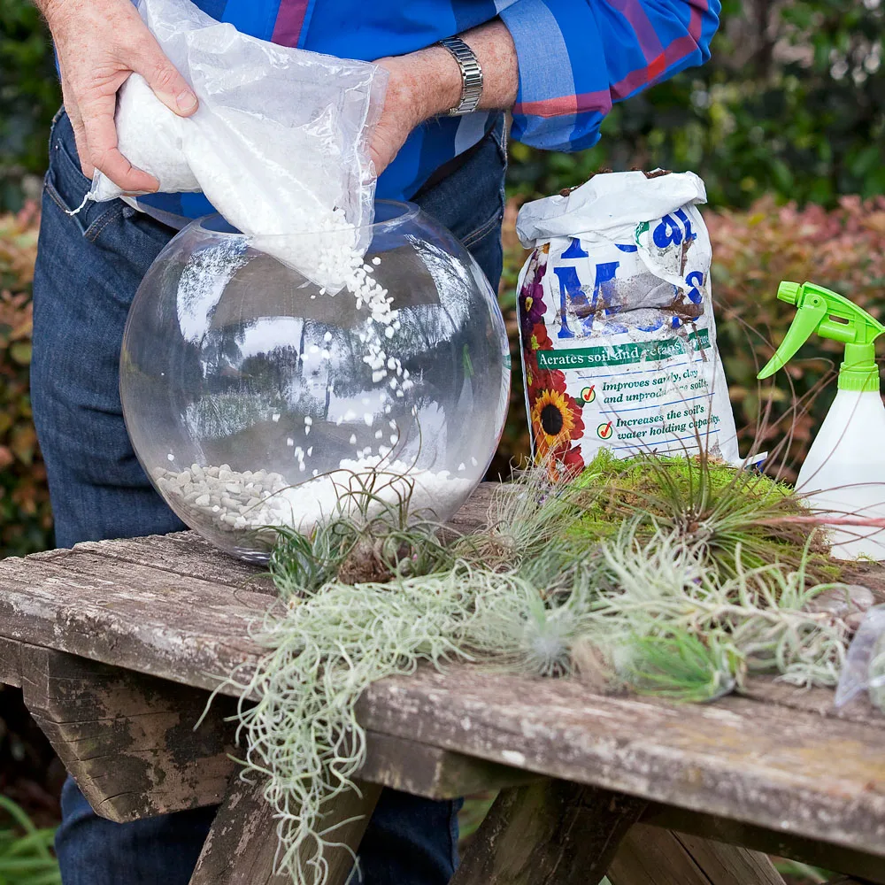 terrarium