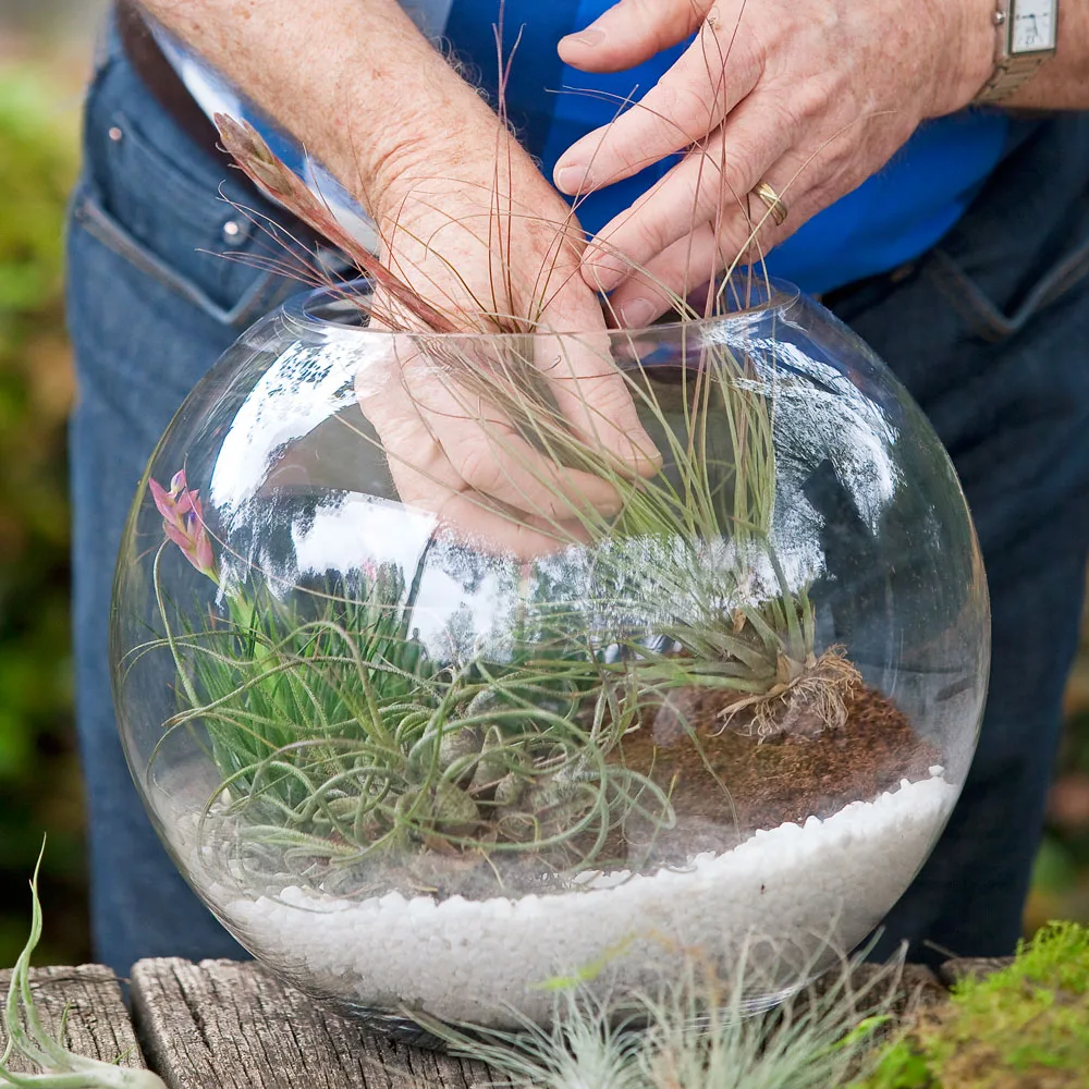 terrarium