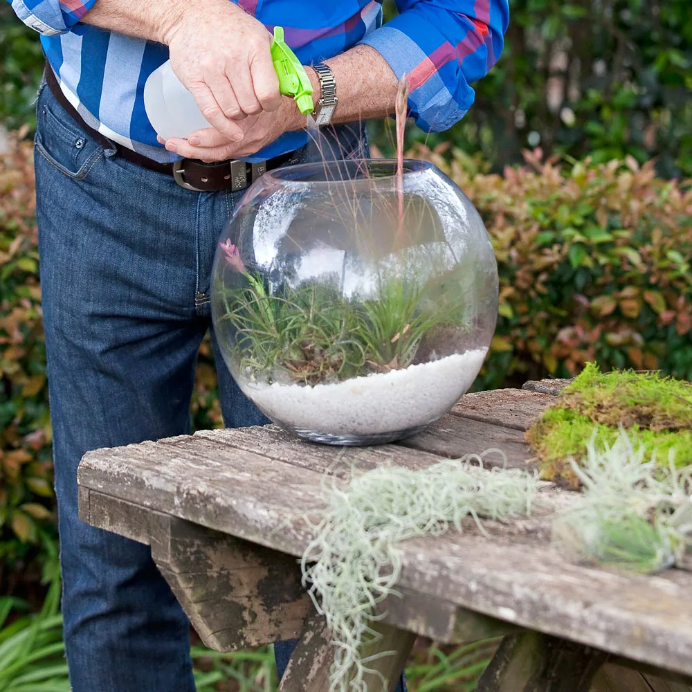 terrarium