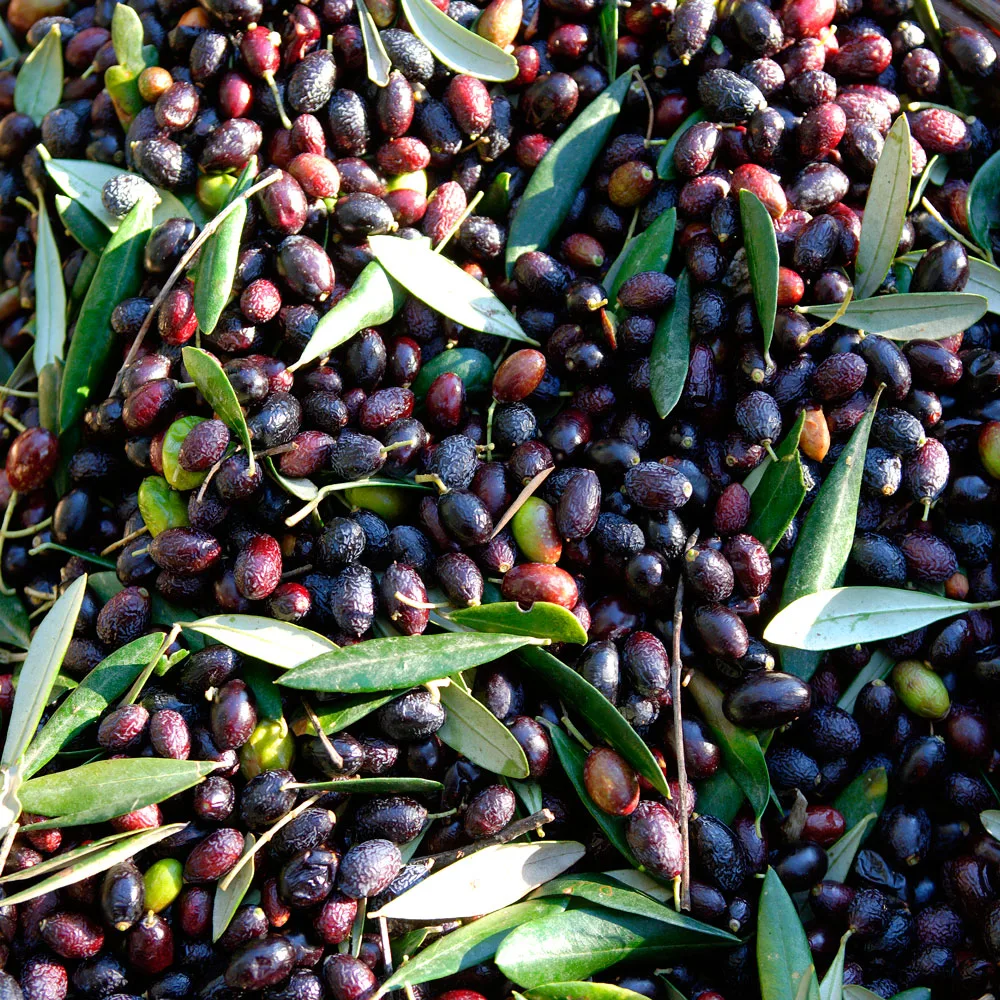 olives