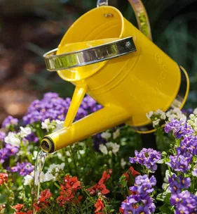 Make your own adorable watering can fountain