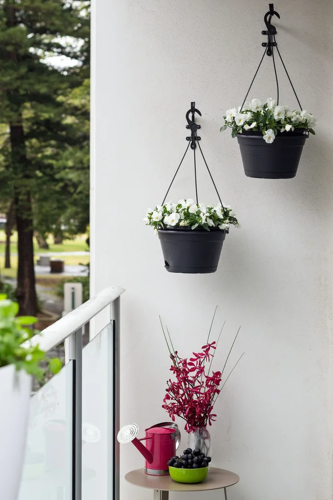 Vertical hanging garden