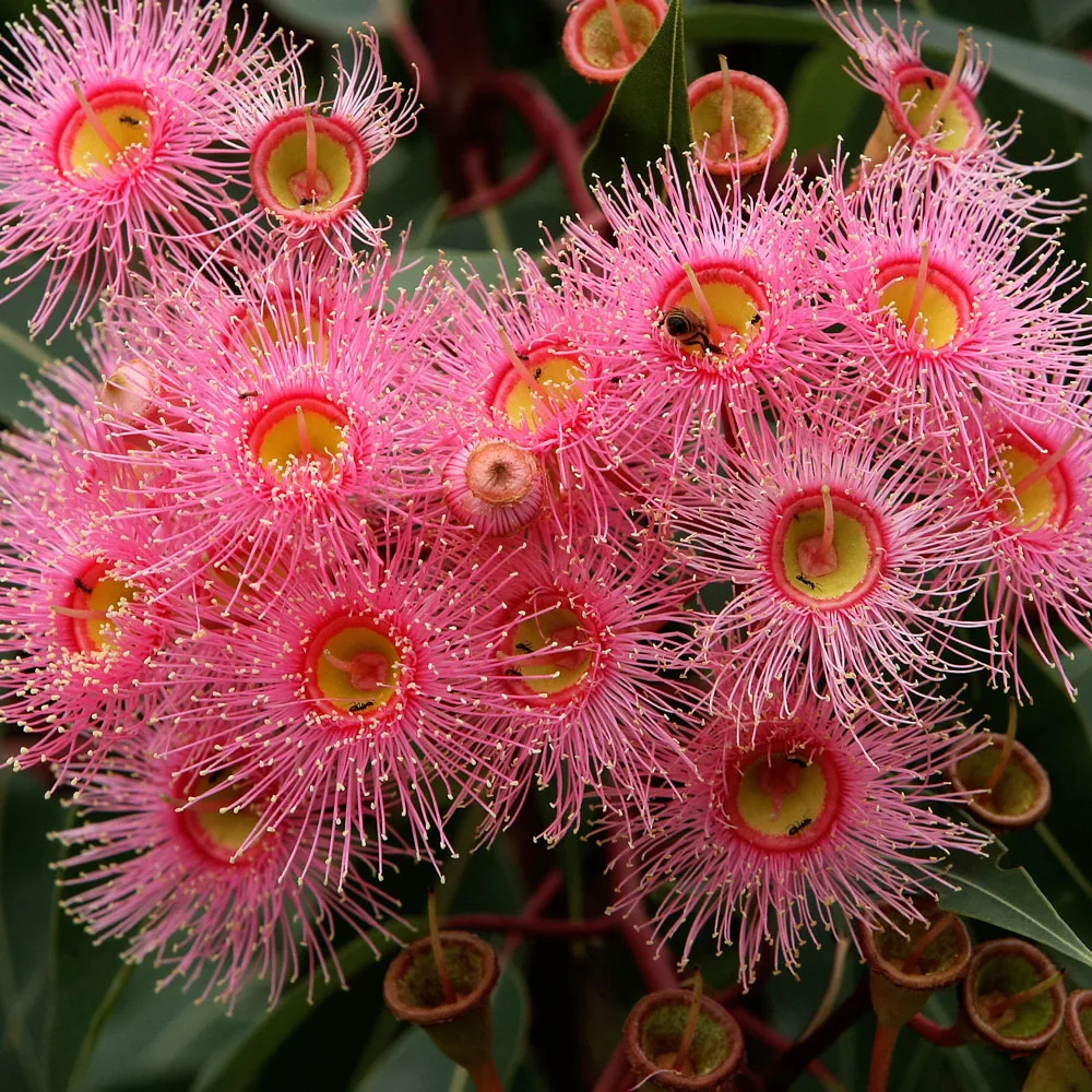Summer beauty