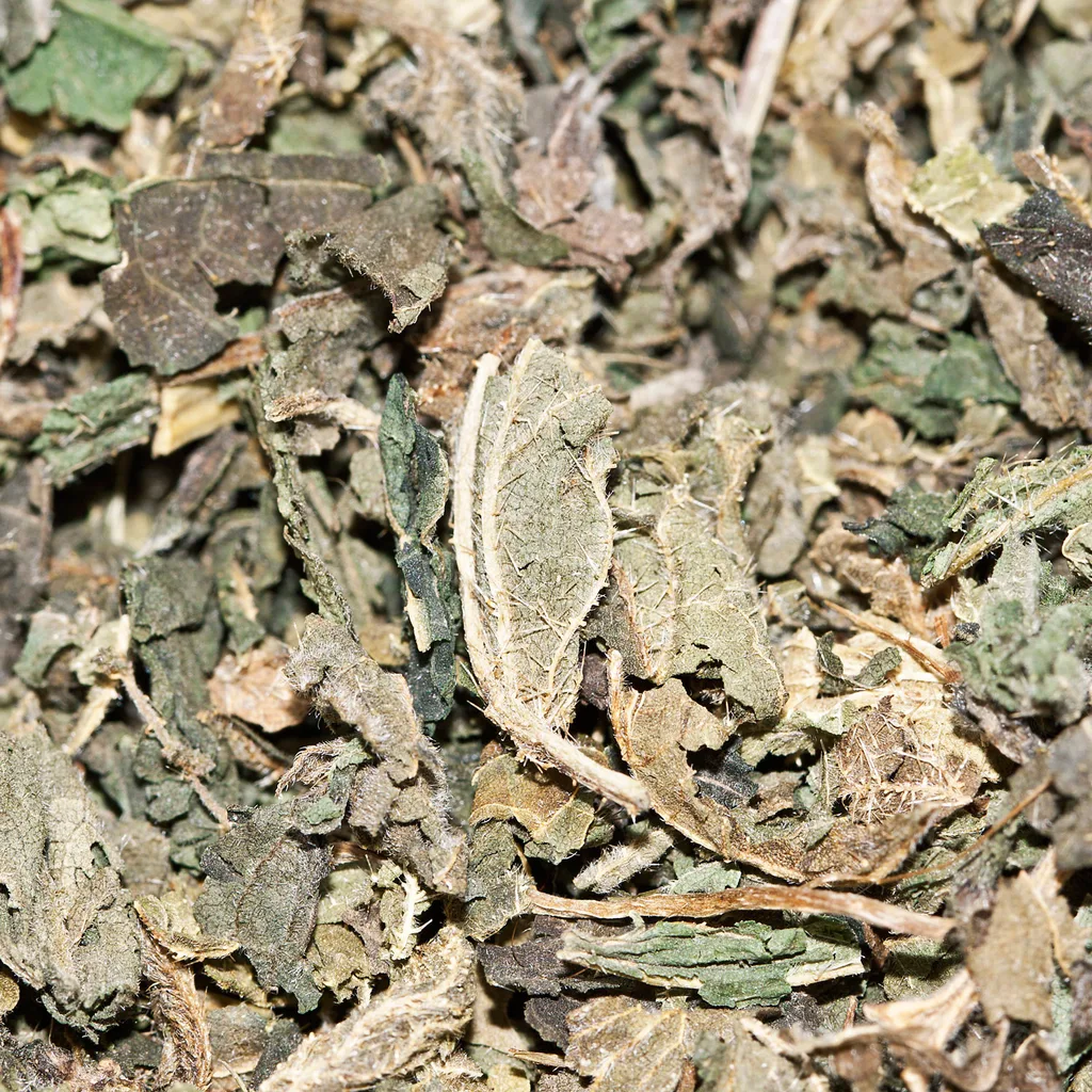 Dandelion tea