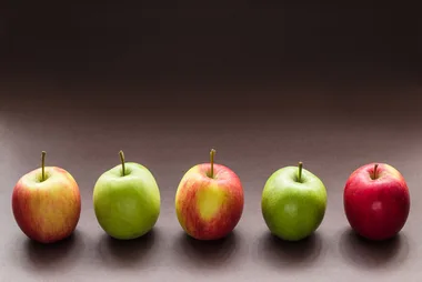 Are you one of the five behavioural ‘diet types’?