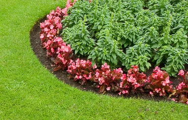 Garden edging ideas to beautify your landscaping