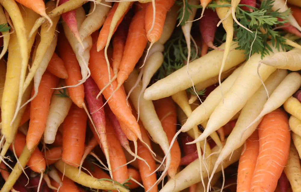 carrots