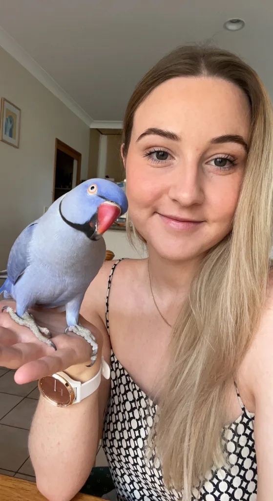 Image of girl holding blue indian ringneck parrot