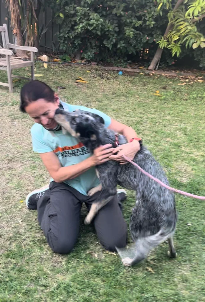Jane Errey with her dog Clancy