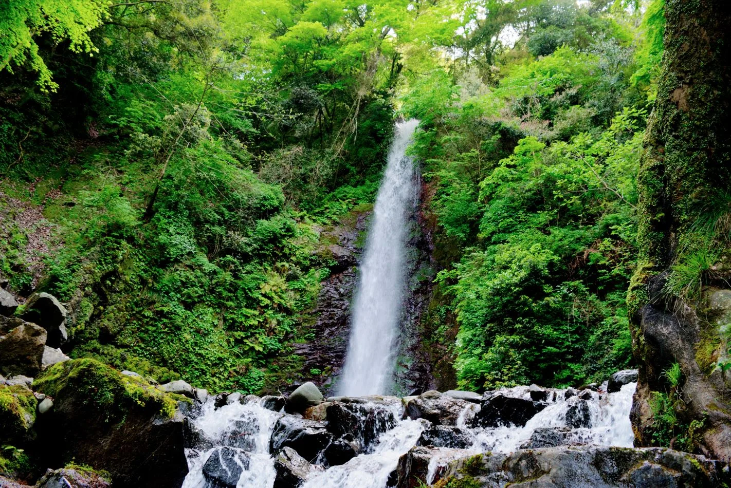 Image of Yoro Falls in Japan