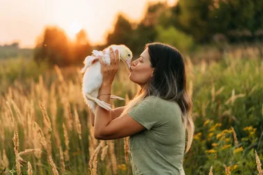 Woman in field or meadow at sunset kissing pet duck