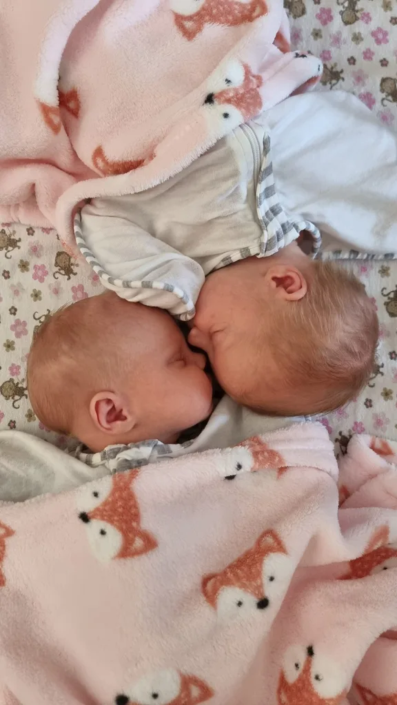 Image of newborn twin girls