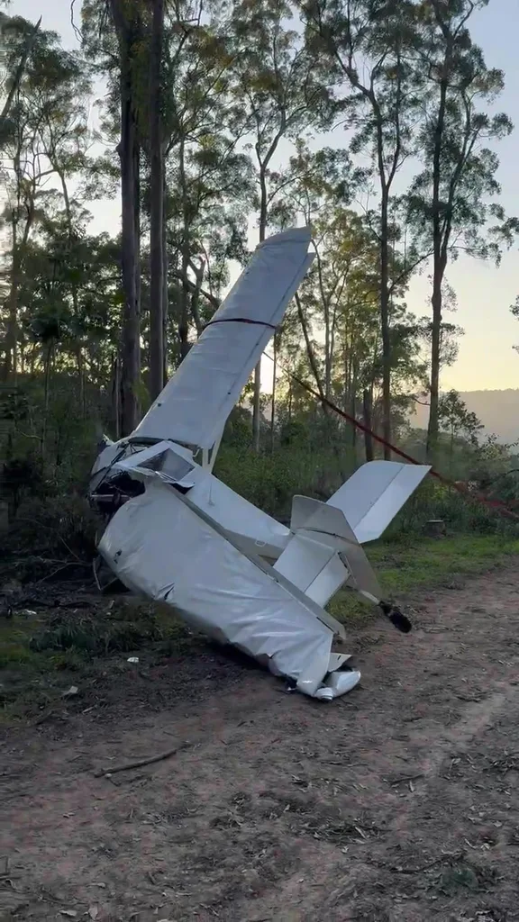 A plane wreck