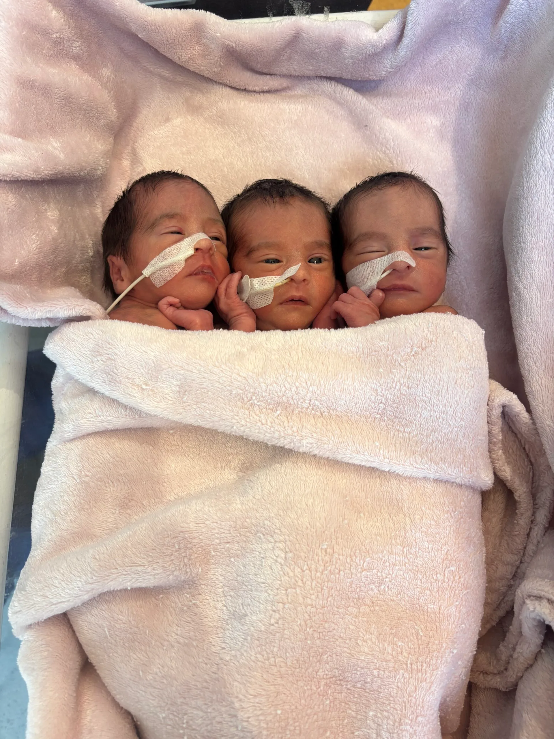three babies wrapped in a blanket