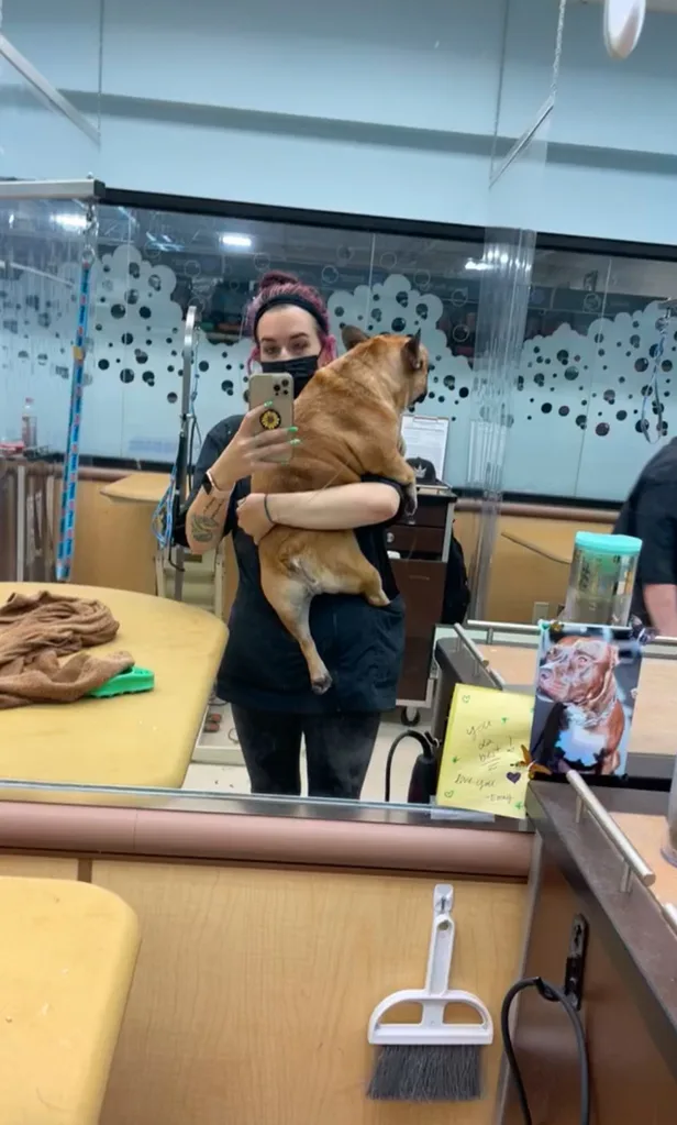 Image of female dog groomer holding dog