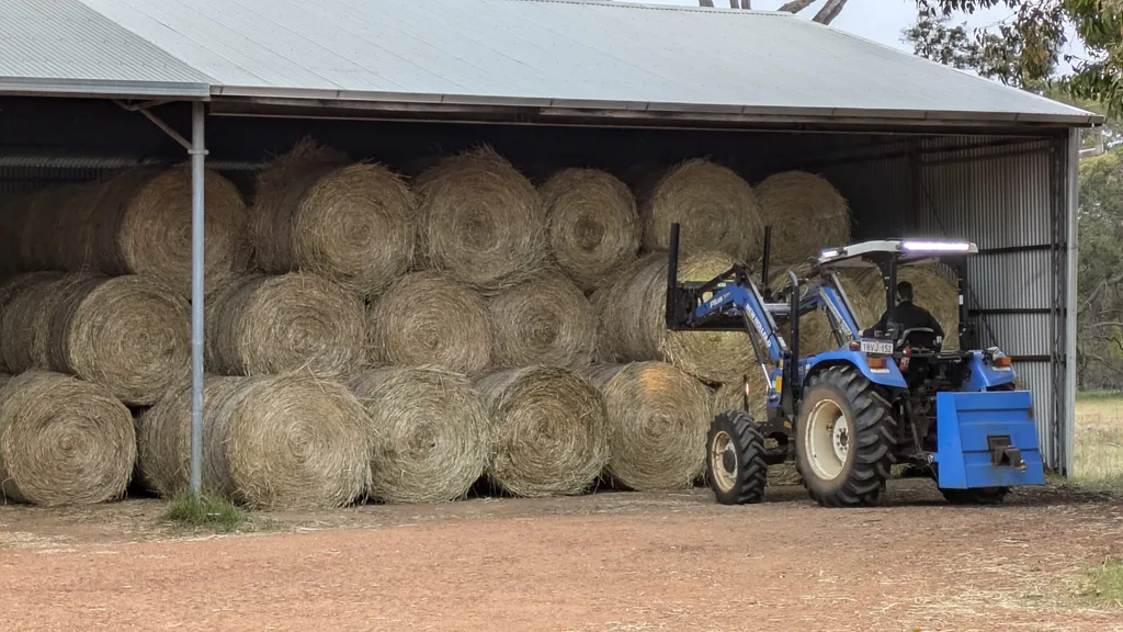 Image of blind man working on the farm