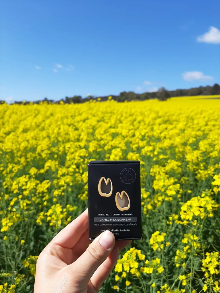 Image of camel milk skincare product