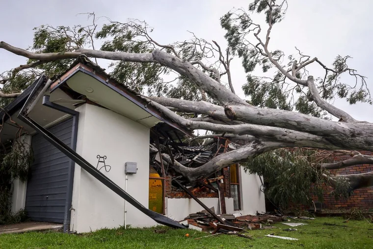 A tree fallen on a house due to high winds