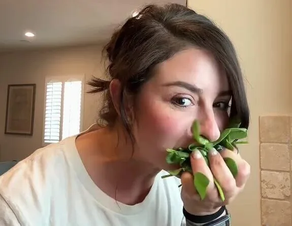 Mum shows off her dinosaur-style way get her family's green in