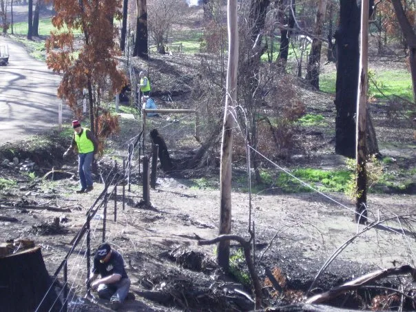 bushfire ravaged farm covered in ash