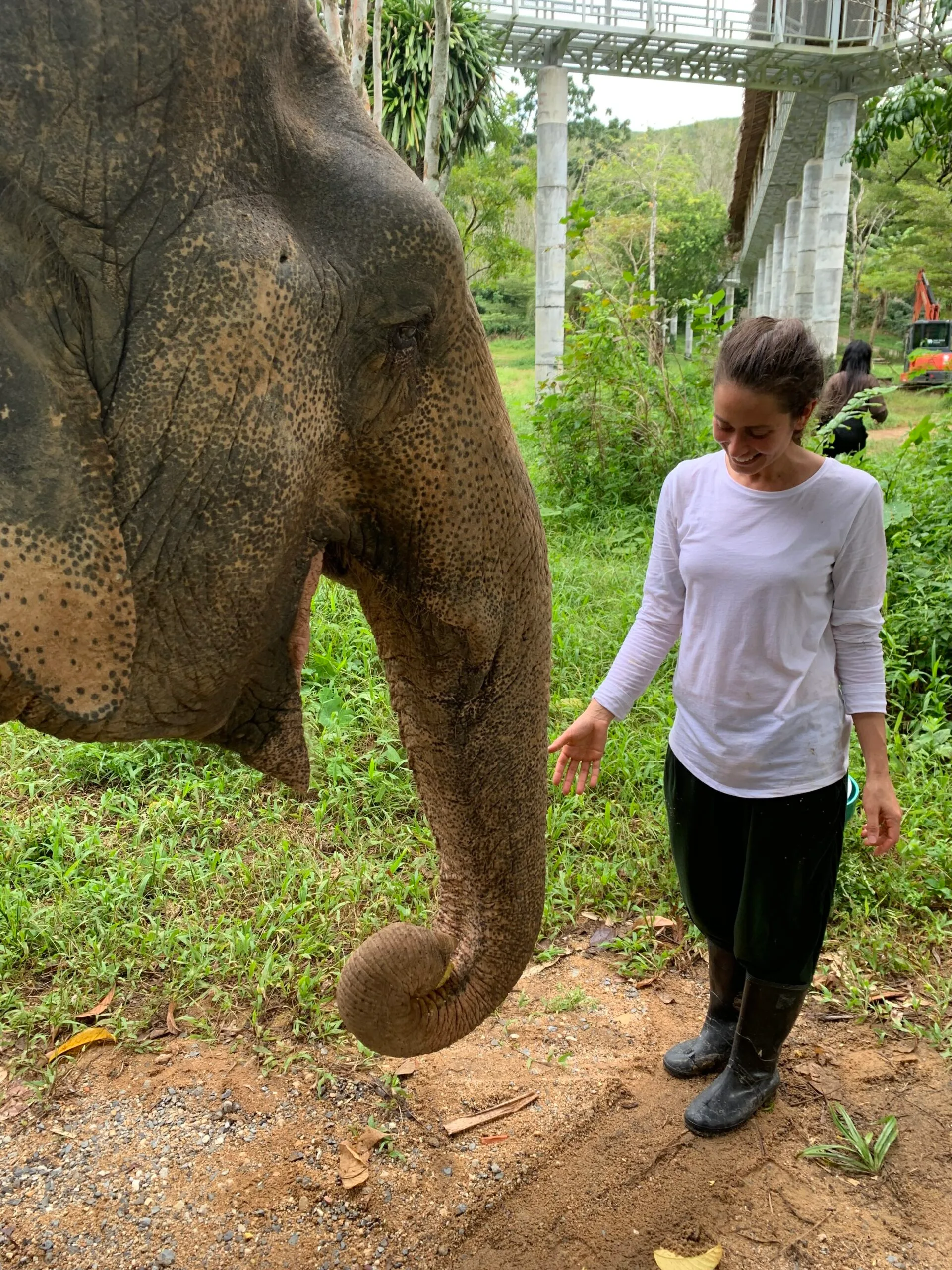 Image of woman standing with an elephant in Thailand
