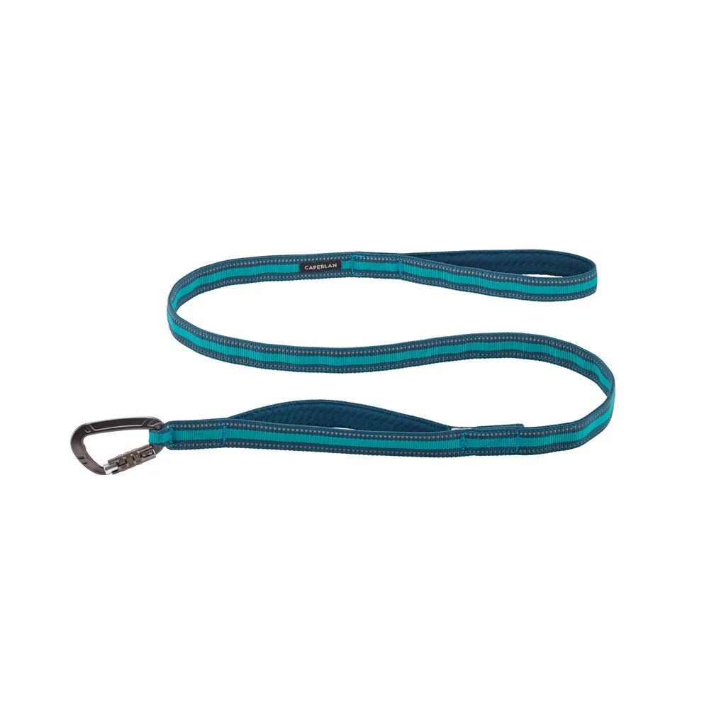 blue leash for a dog