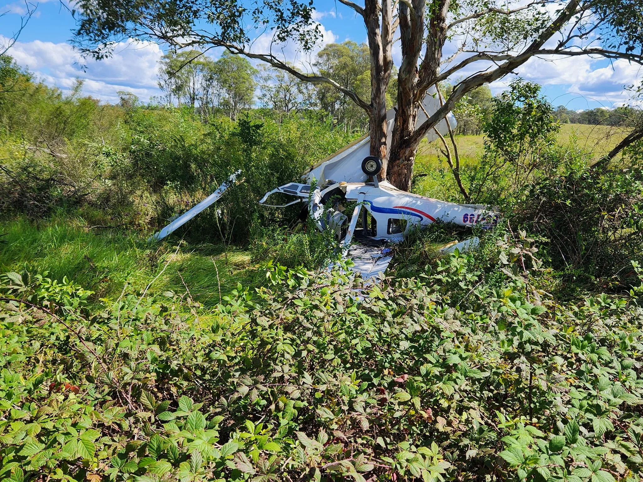 Image of plane crash wreckage