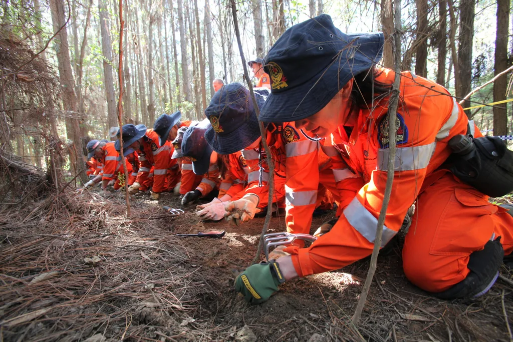 People in high vis outfits searching on their knees in a forest