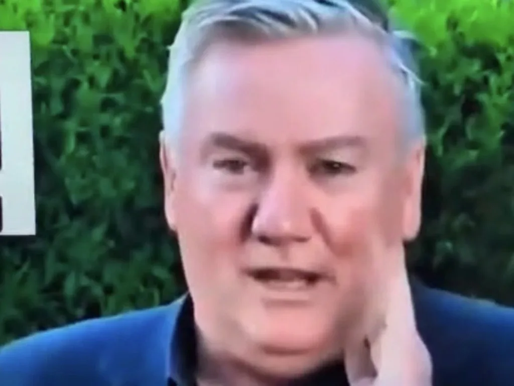 AI likeness of Eddie McGuire