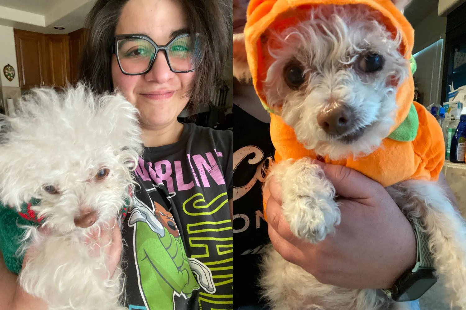 Collage of Gizmo and his owner Judy
