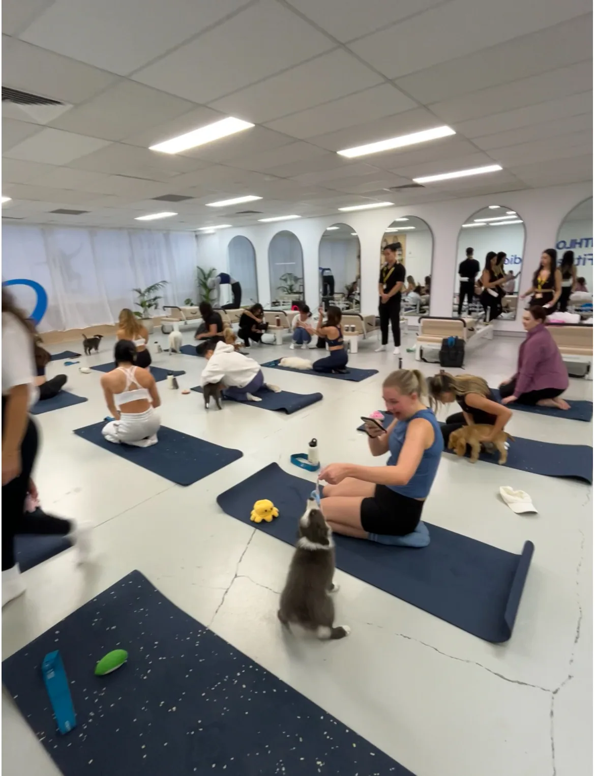 women posing on blue yoga mats with puppies